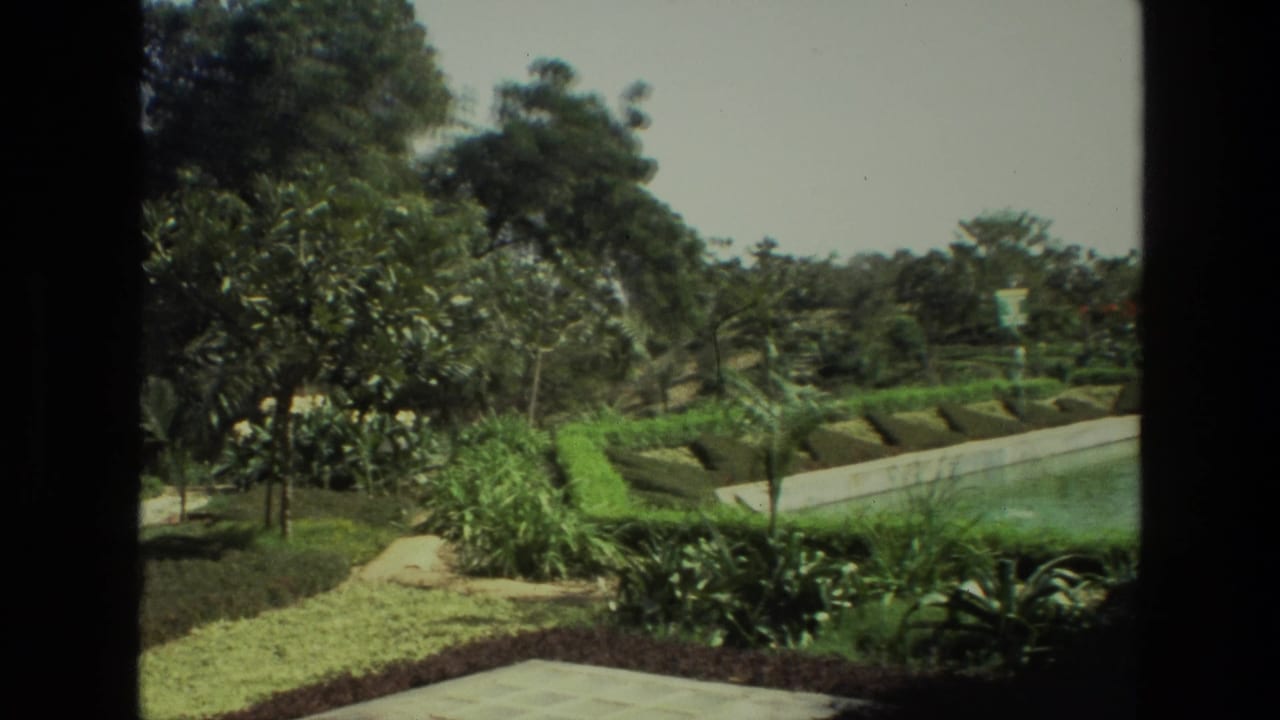 Manicured garden with hedges, trees, and a pale curving walkway seen through dark film borders.