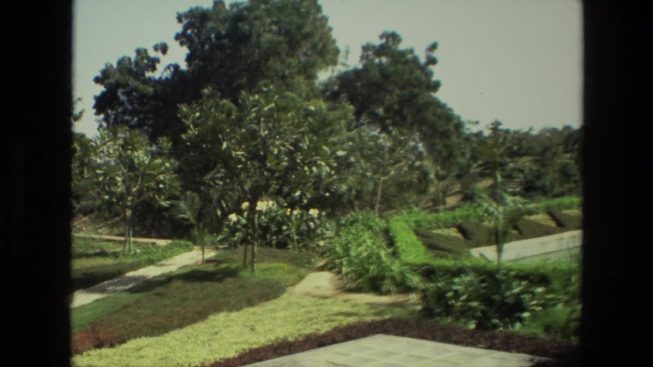 Garden path and clipped hedges with dense trees and shrubs in the background.