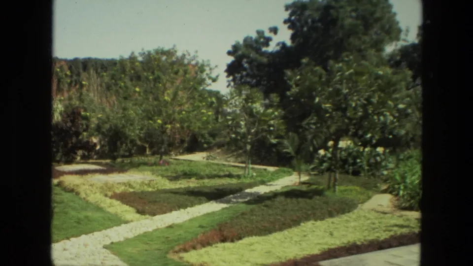 1974 India still showing a landscaped garden with branching pale paths, clipped planting beds, trees, and flowering shrubs.