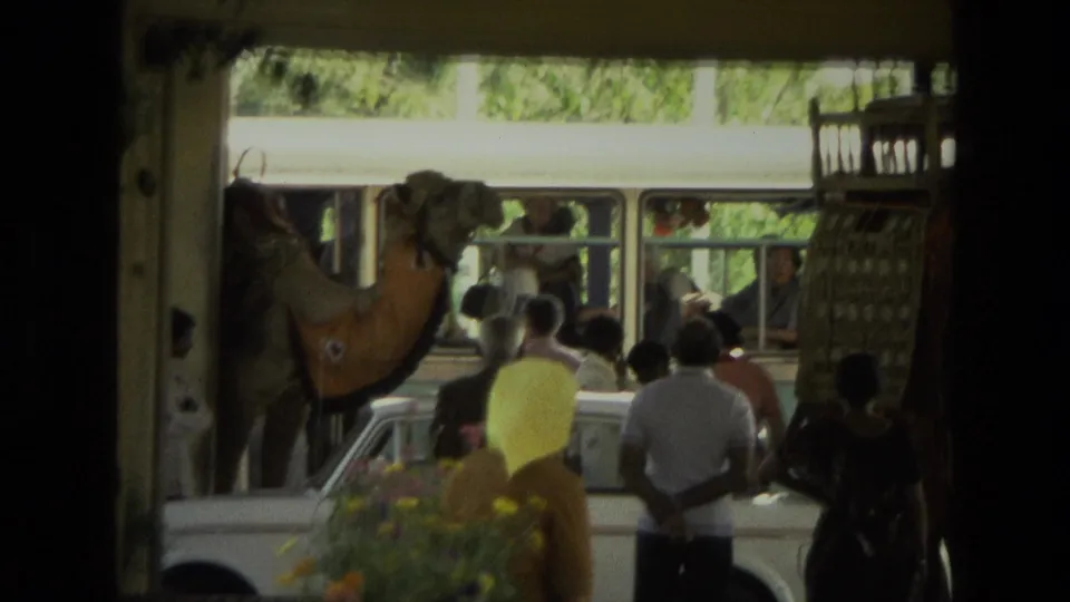 1974 India 8mm frame showing a camel near onlookers, a white car, and a bus viewed from a shaded area.
