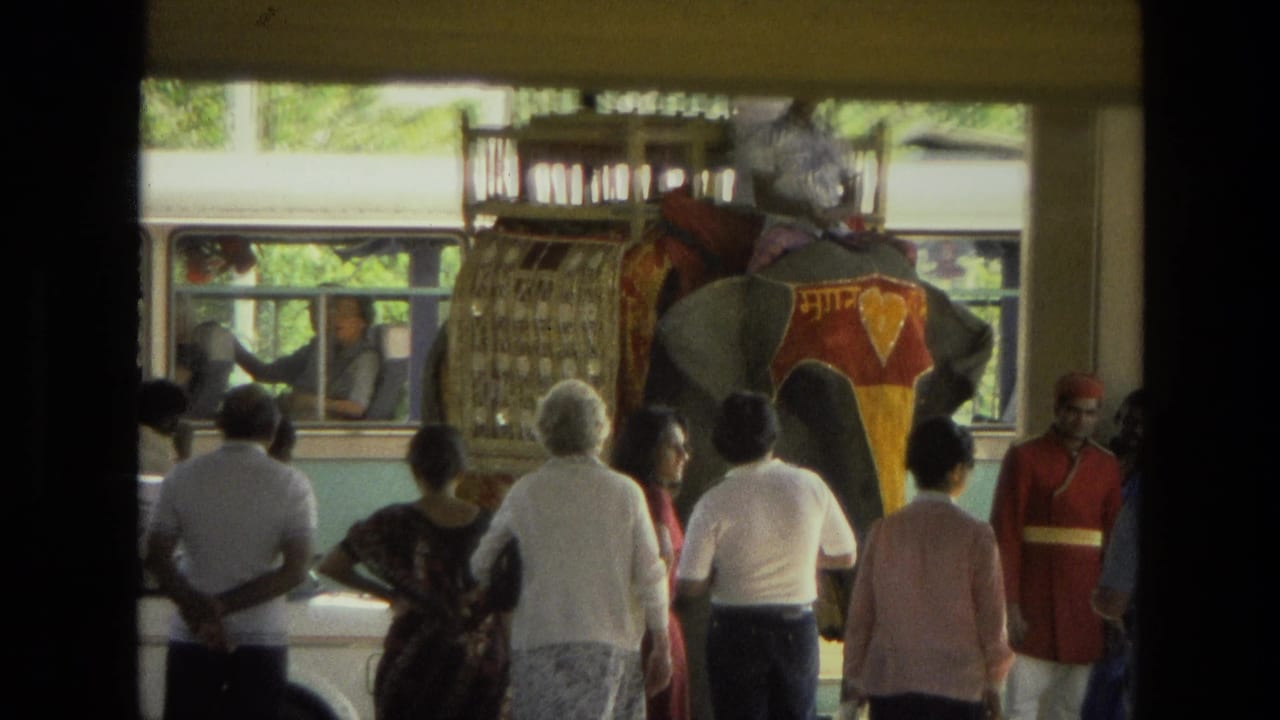 Decorated elephant with rider approaches a crowd beside a light-colored bus.