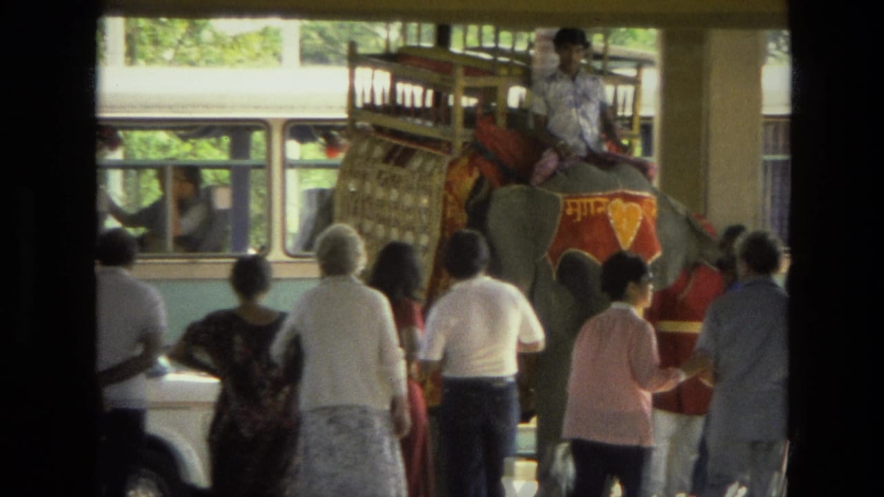 Crowd watches a decorated elephant and rider standing beside a bus.