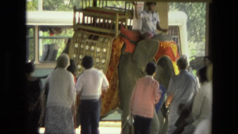 The elephant moves away through a visitor crowd, with its patterned covering and howdah visible.