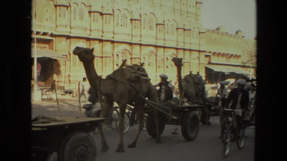 A 1974 India street scene shows camel carts, pedestrians, and a bicycle near the Hawa Mahal backdrop.