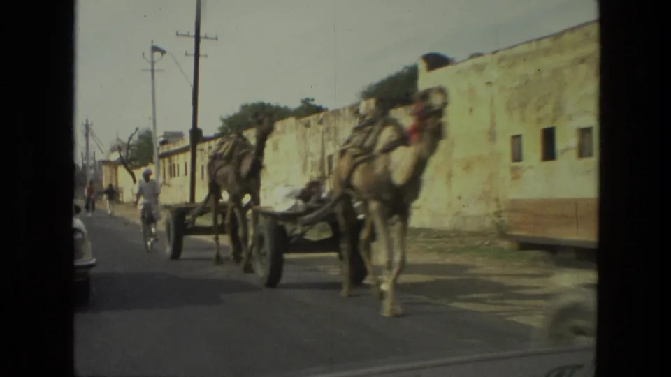 1974 India street footage showing a camel-drawn cart on a road lined by weathered walls, cyclists, pedestrians, and utility poles.