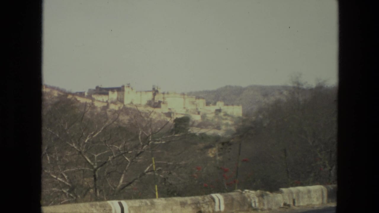 Distant pale fortress or palace complex on a hillside behind bare trees.