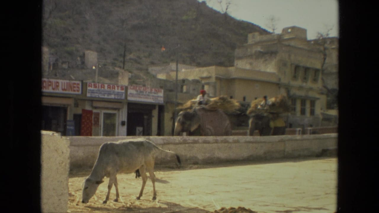 Cow grazing beside a low wall while loaded elephants and riders pass shops behind it.