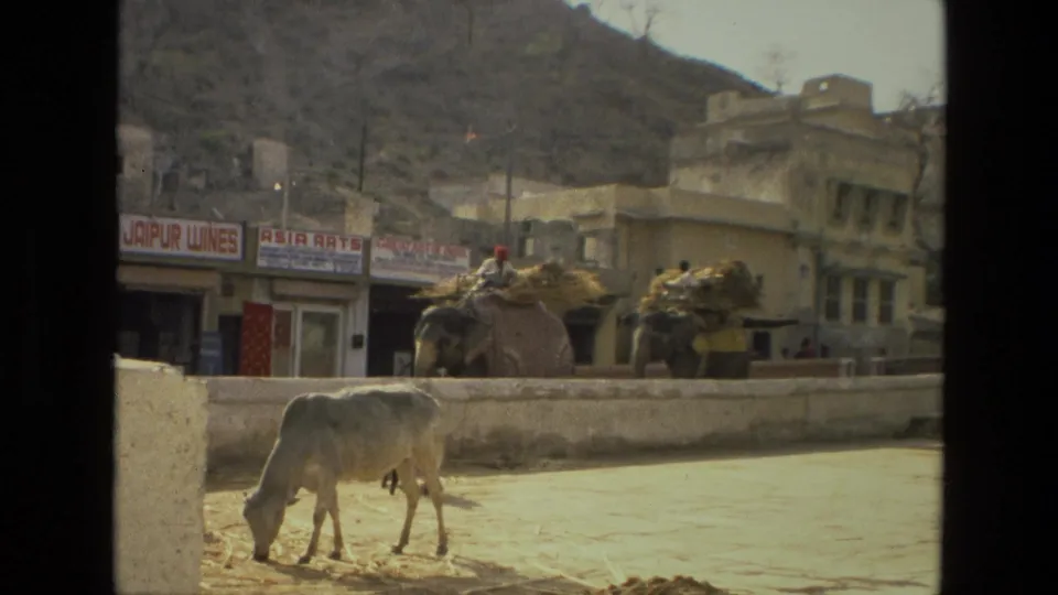 1974 India 8mm frame showing a cow near a wall, elephants with riders and loads, painted shop signs, pale buildings, and a hillside street backdrop.