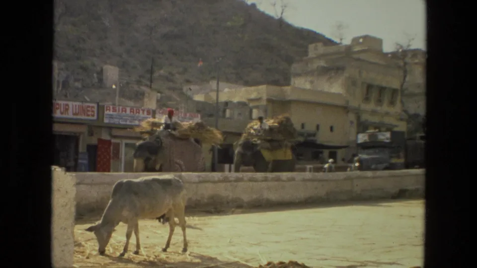 1974 India street footage with elephants carrying goods and riders behind a cow, shop signs, low wall, pale buildings, and hills in the background.