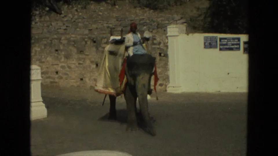 1974 India frame showing people riding decorated elephants on a street near a stone wall, white gate pillars, and small posted signs.