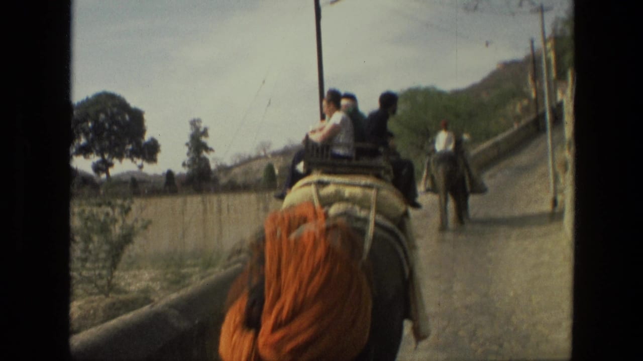 Elephant with riders moving along a narrow road beside a wall.