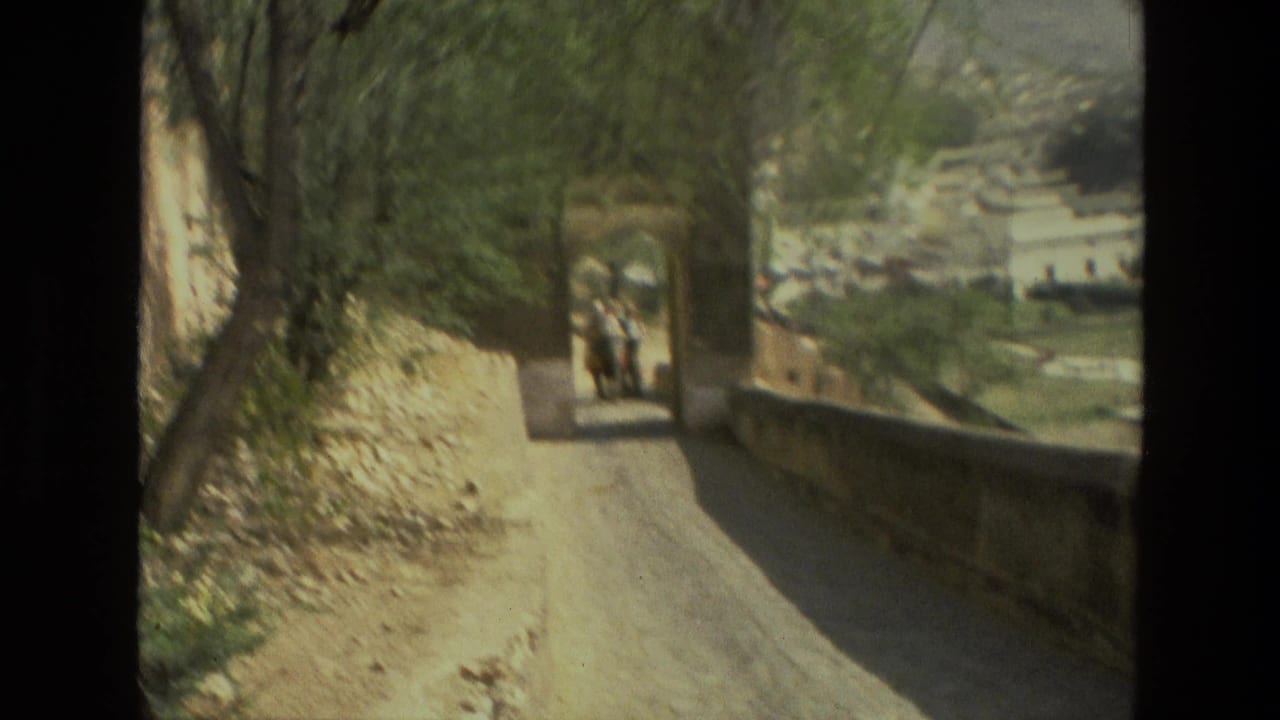 Narrow road beside trees and stone walls, filmed from a moving viewpoint.