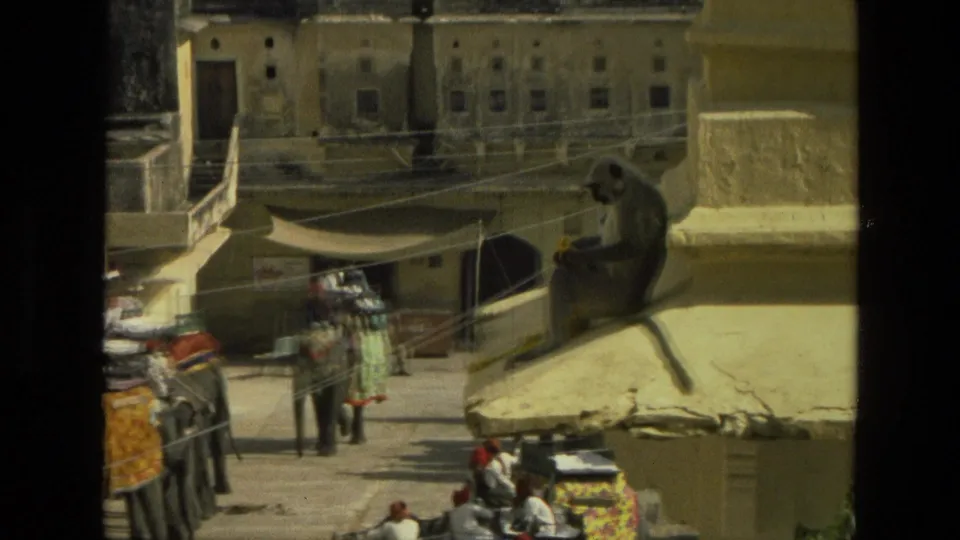 1974 India home-movie frame with a monkey on a stone ledge overlooking elephants, people, and building facades below.