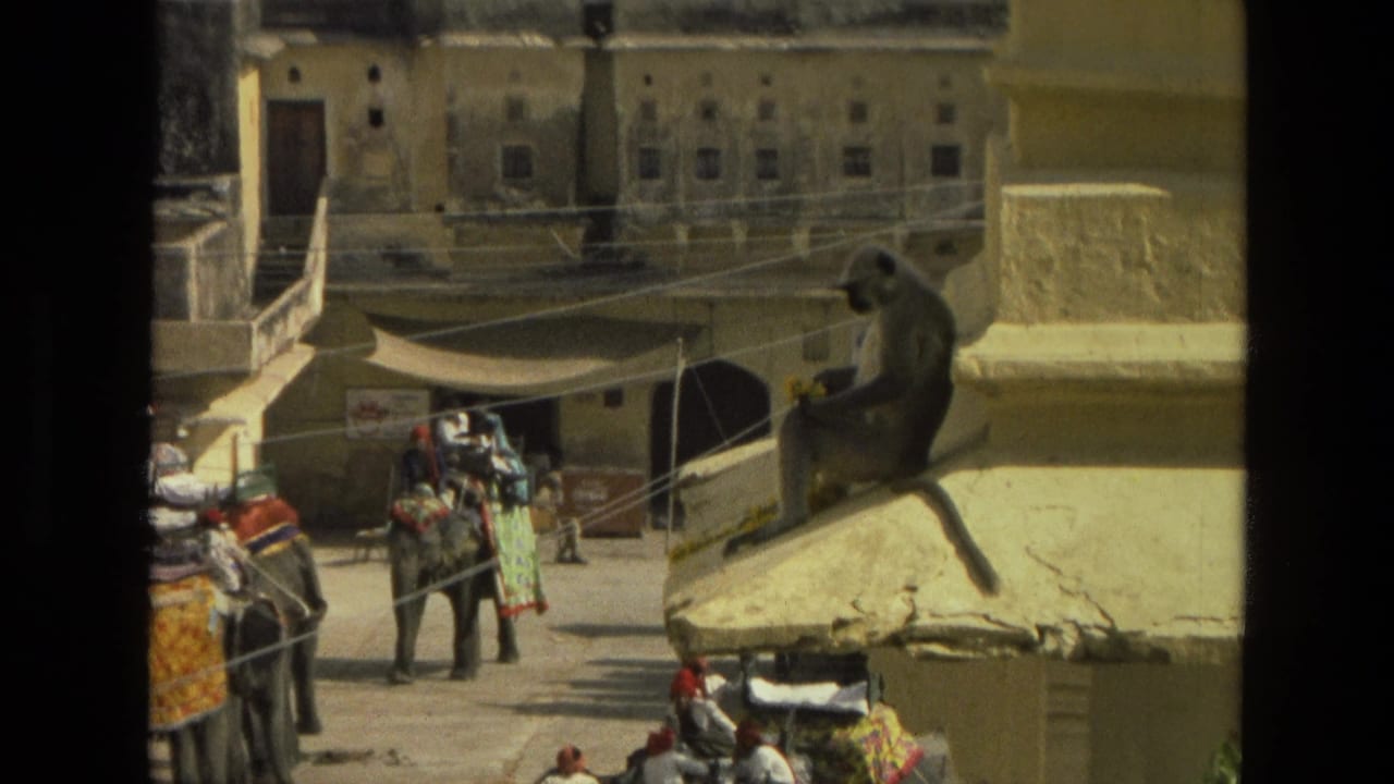 Langur sitting on a yellow roof edge above people and elephants in a courtyard.