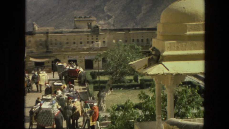 The final frame shows decorated elephants and visitors in a courtyard, with a langur sitting near a yellow dome and hills behind the buildings.