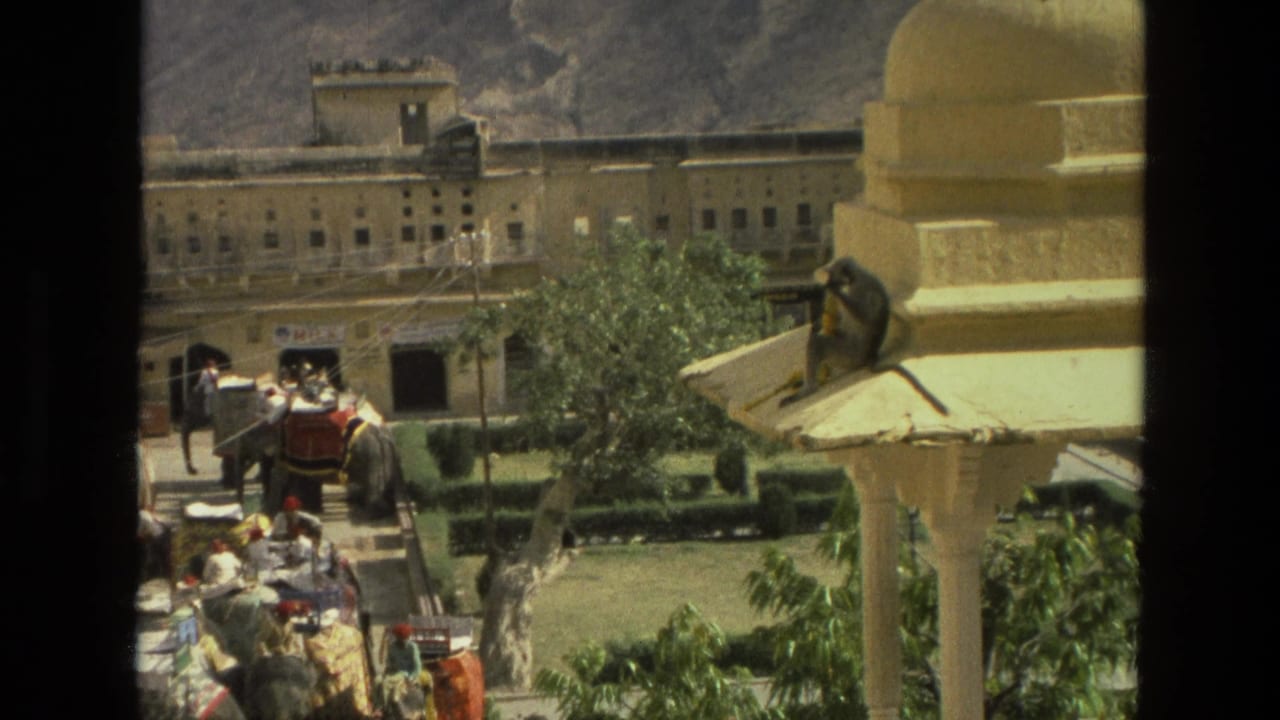 Monkey on an ornate roof ledge above a courtyard with elephants and people below.