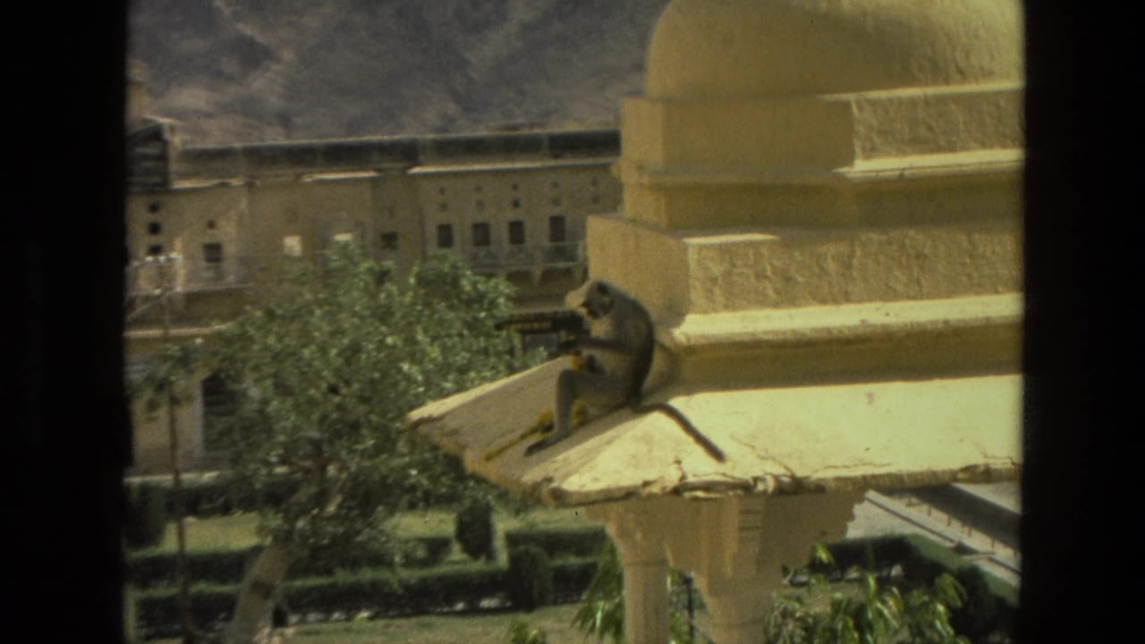 1974 India 8mm frame of a monkey sitting on a roof ledge near carved cream architecture, with trees, courtyard grounds, and a long building in the background.