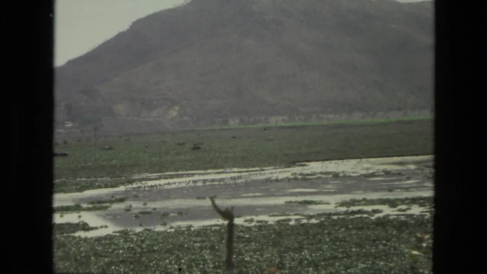 1974 India 8mm frame showing the pan across aquatic plants, shallow water and barren ground below hazy mountain slopes.