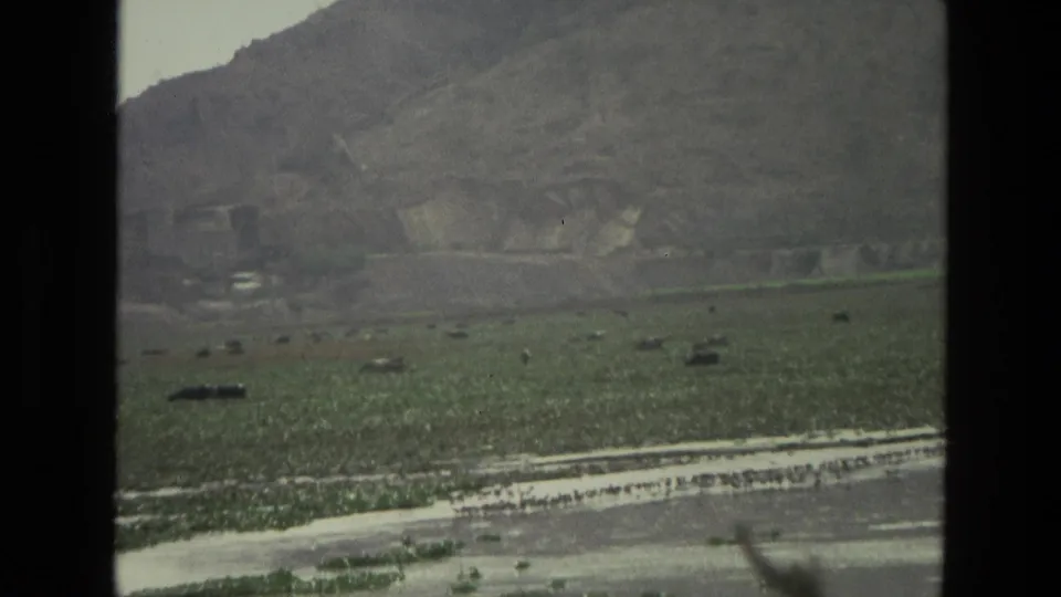 1974 India 8mm frame focused on a broad wetland, scattered vegetation and dry mountain slopes during the end of the pan.