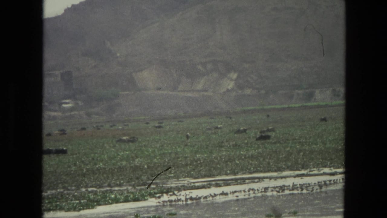 1974 India 8mm frame showing a shallow river crossing a green valley, with distant hills and scattered birds near the bank.