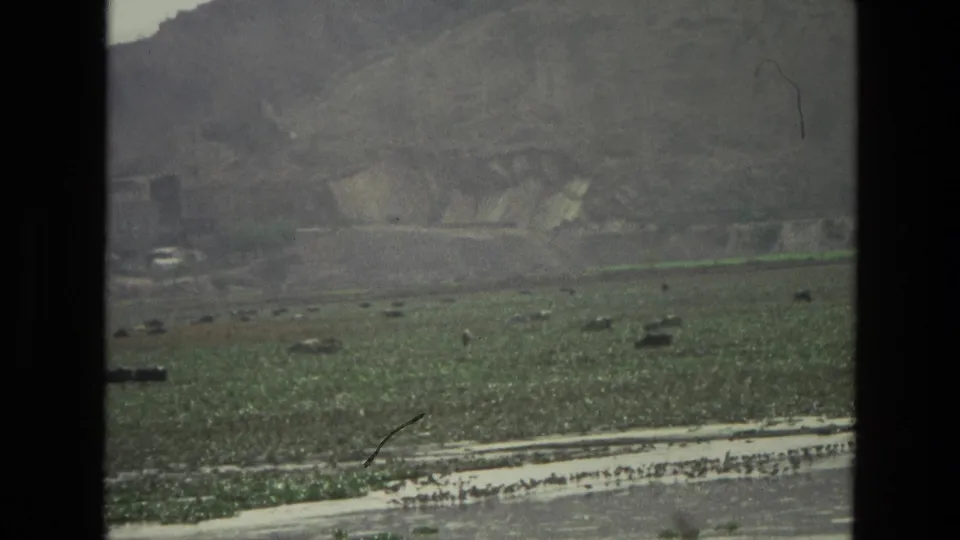 1974 India 8mm frame showing a shallow river crossing a green valley, with distant hills and scattered birds near the bank.