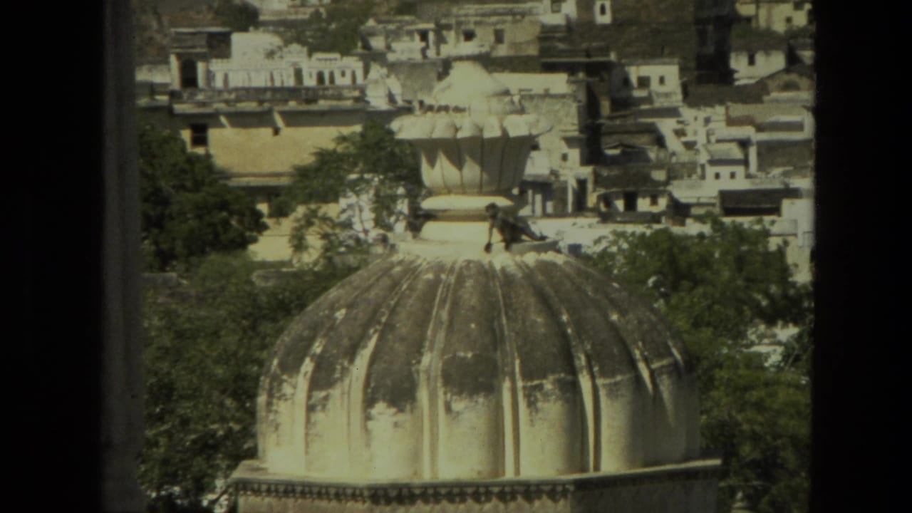 1974 India 8mm frame showing a monkey near the top of a weathered fluted dome, with trees and urban buildings beyond.
