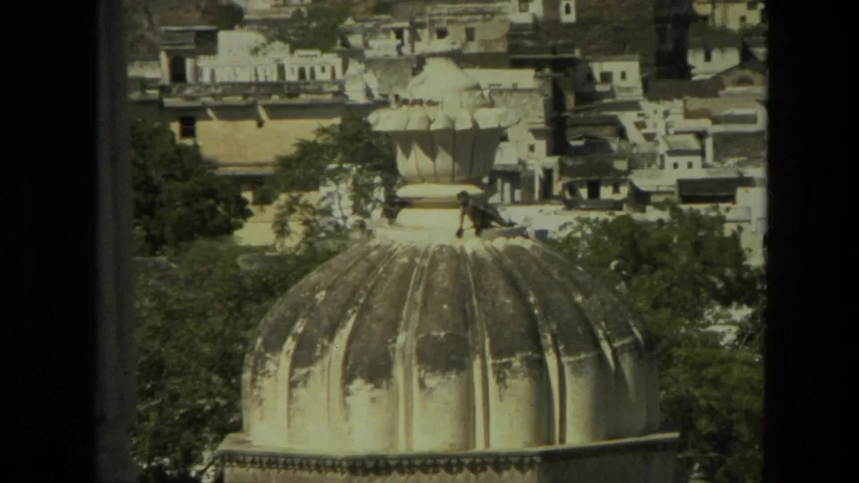1974 India 8mm frame showing a monkey near the top of a weathered fluted dome, with trees and urban buildings beyond.