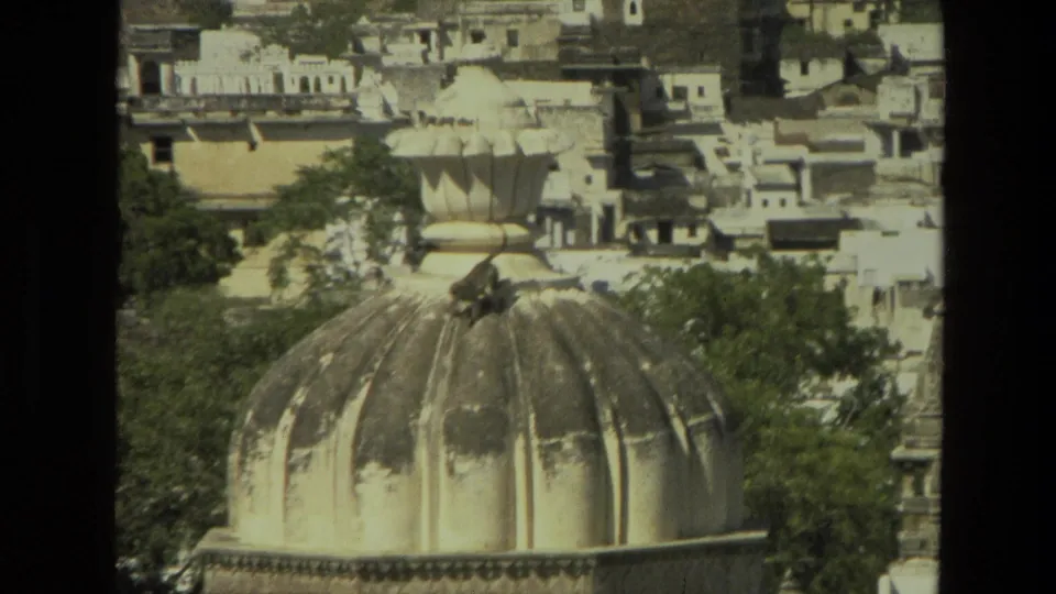 1974 India 8mm frame with a monkey on the sunlit crown of a pale dome, backed by trees and dense low-rise buildings.