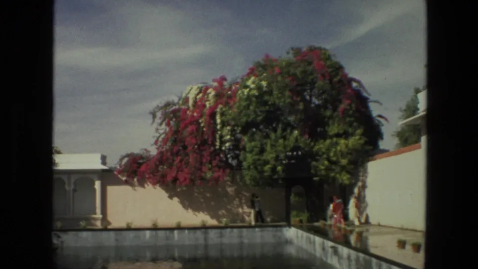 India 8mm frame from 1974 showing a courtyard water edge, large pink flowering tree, pale wall, small pavilion, and distant people.