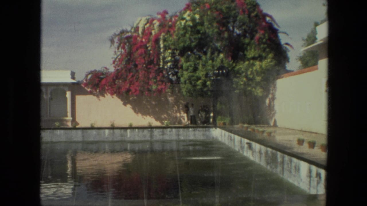 Reflecting pond, white courtyard wall, flowering tree, and arched building in sunlight.