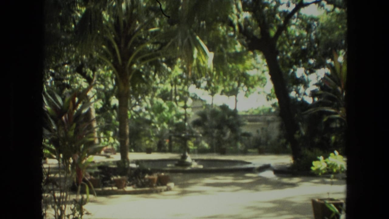 1974 India 8mm frame looking across a shaded courtyard with palms, a low fountain basin, potted plants, and dense greenery.