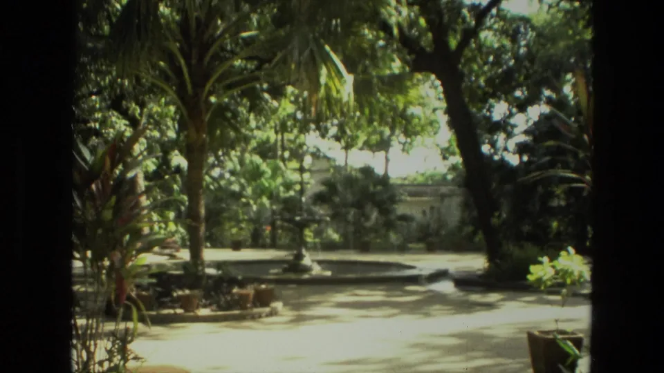 1974 India 8mm frame showing a sunlit courtyard garden with palm trunks, a fountain area, potted plants, and heavy tree shade.