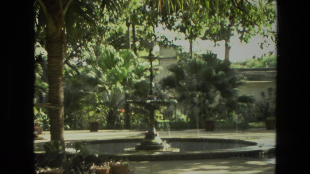 1974 India 8mm frame showing a fountain in a circular basin, seen through dark vertical edges with palms and garden plants beyond.