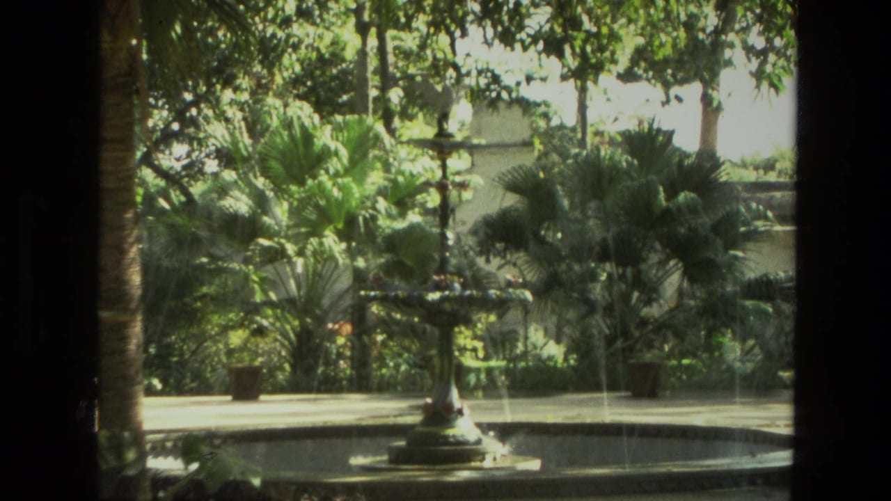Garden fountain and circular pool surrounded by palms and leafy plants.