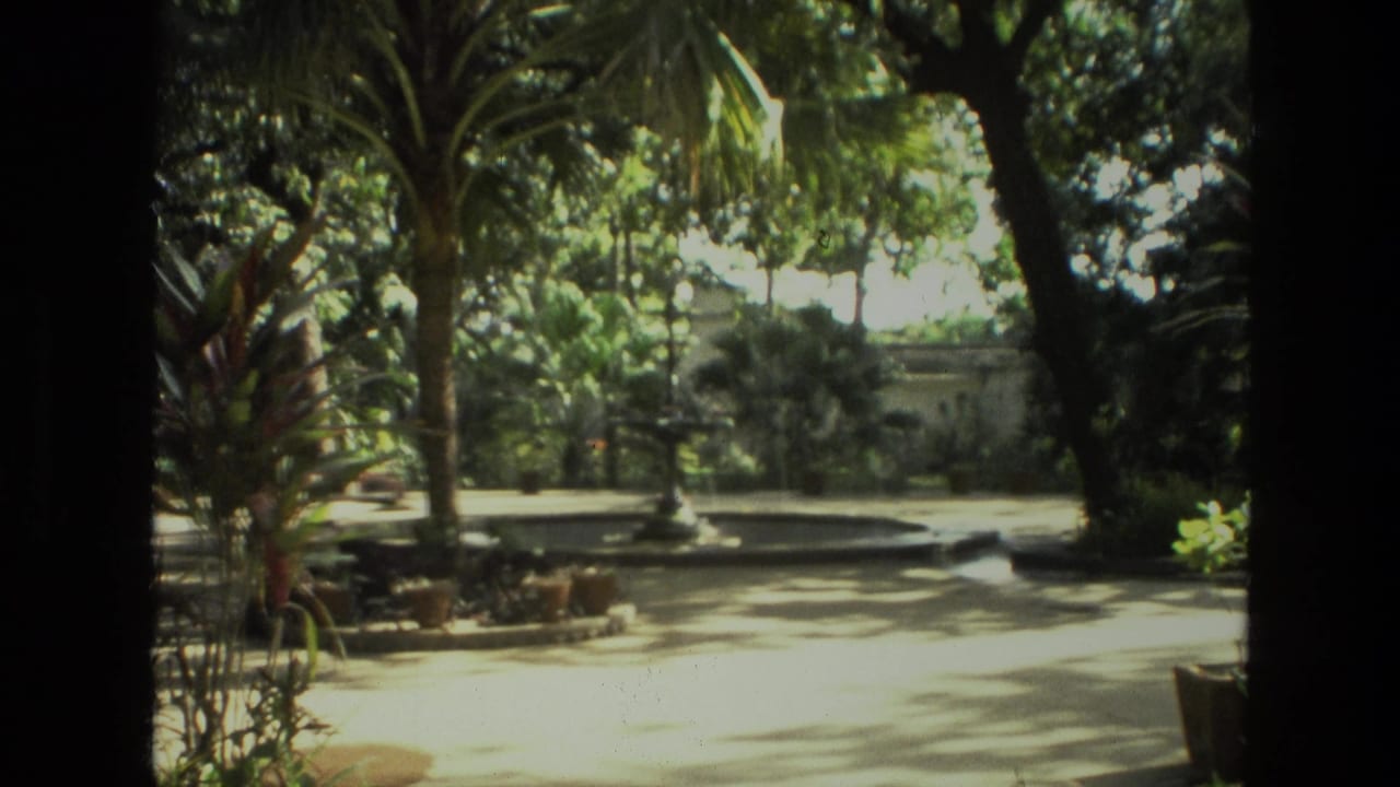 Shaded garden path with palms and a fountain area beyond dark frame edges.