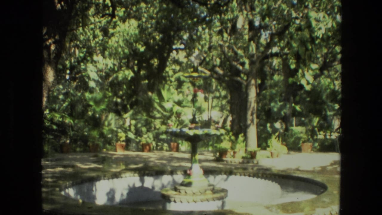 1974 India garden view with a central fountain, shallow water basin, dense foliage and potted tropical plants.