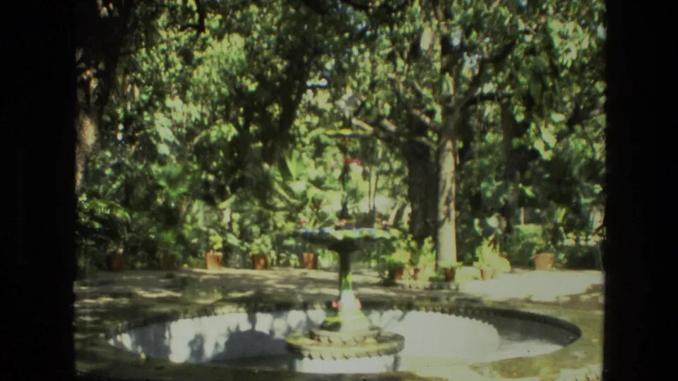 1974 India garden view with a central fountain, shallow water basin, dense foliage and potted tropical plants.