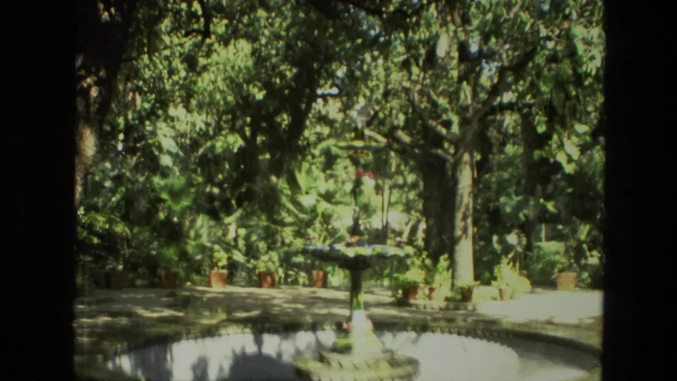 1974 India 8mm frame showing a fountain basin in a leafy tropical garden with potted plants and mature trees.