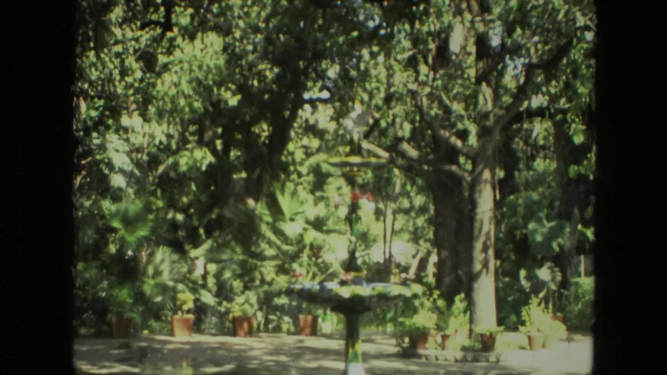 1974 India garden frame with a small fountain, clustered potted plants, broad leaves and a shaded tree canopy.