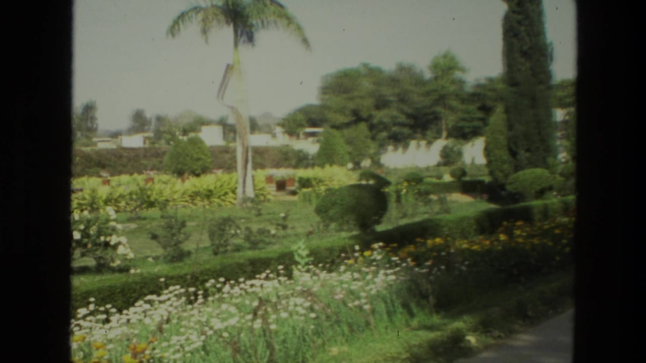 1974 India home-movie frame showing a landscaped garden with green lawn, yellow and white flowers, hedges, and palm trunks.