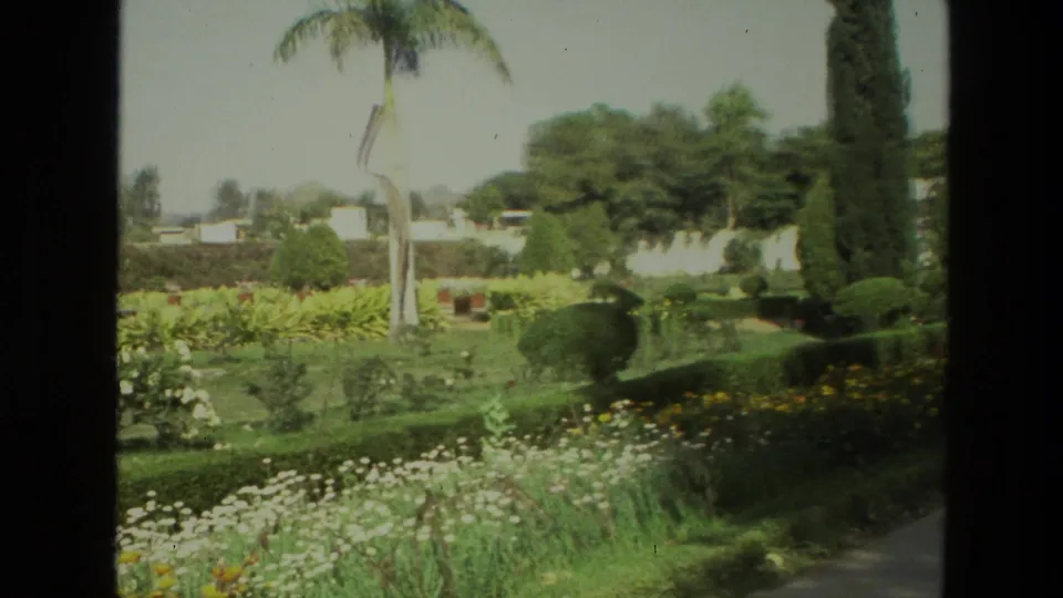 1974 India home-movie frame showing a landscaped garden with green lawn, yellow and white flowers, hedges, and palm trunks.