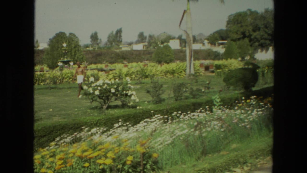 Person in white clothing walking across a lawn among flower beds and hedges.
