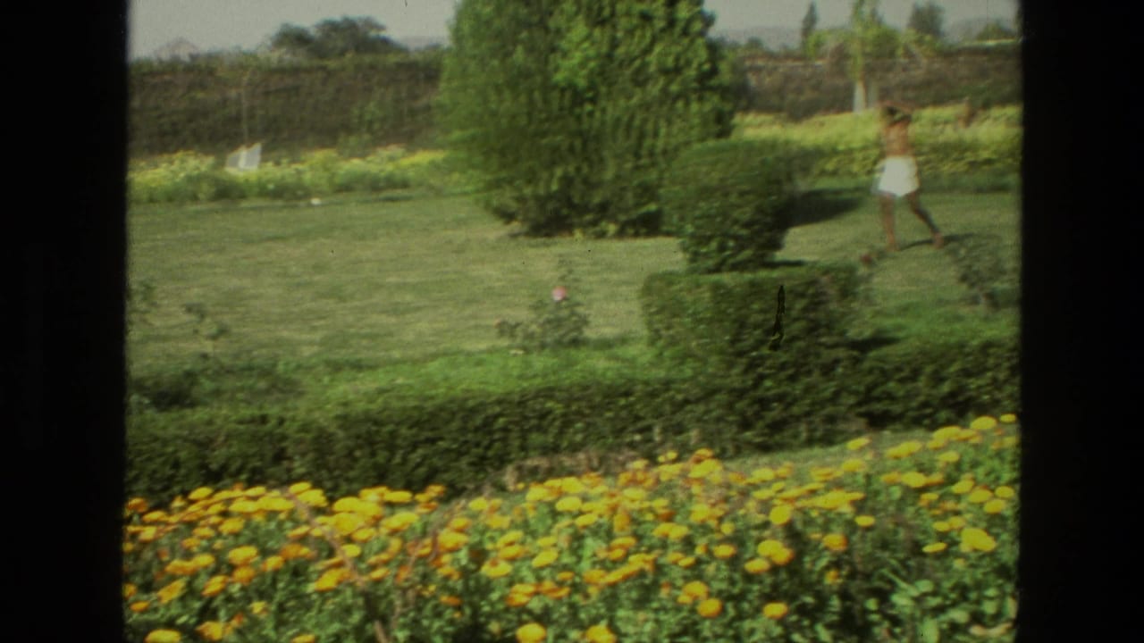 1974 India home-movie frame showing a man walking across a manicured lawn beyond yellow flowers and trimmed hedges.