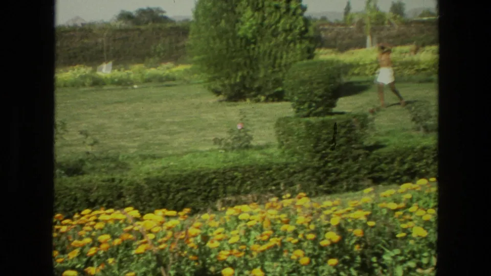 1974 India home-movie frame showing a man walking across a manicured lawn beyond yellow flowers and trimmed hedges.