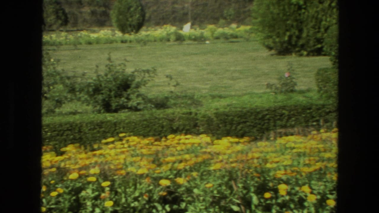 1974 India garden view with clipped hedges, flower beds, open grass, and trees seen in soft 8mm color.