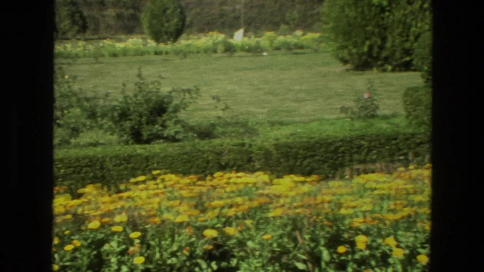 1974 India garden view with clipped hedges, flower beds, open grass, and trees seen in soft 8mm color.
