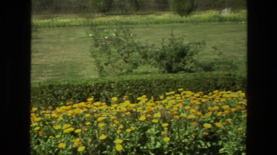 1974 India home-movie frame focused on yellow flower beds, low hedges, and a broad landscaped lawn.