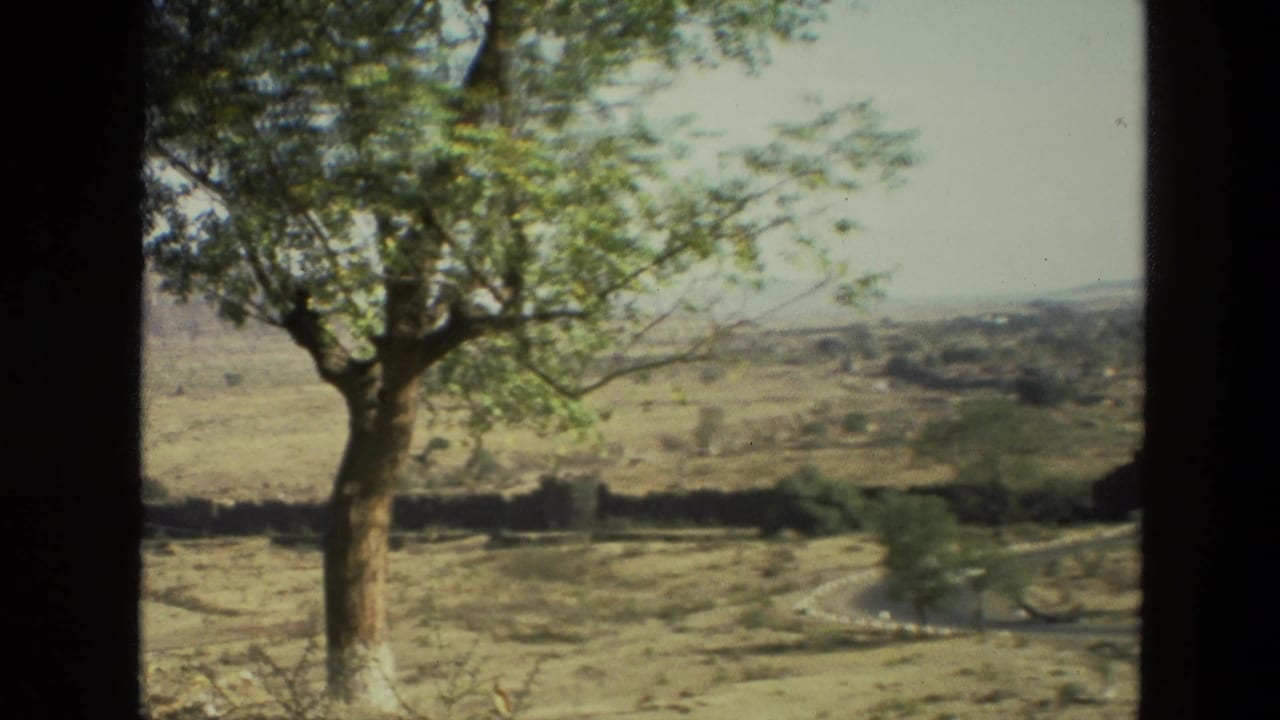 View through a dark opening toward a tree, dry fields, road, and hazy hills.