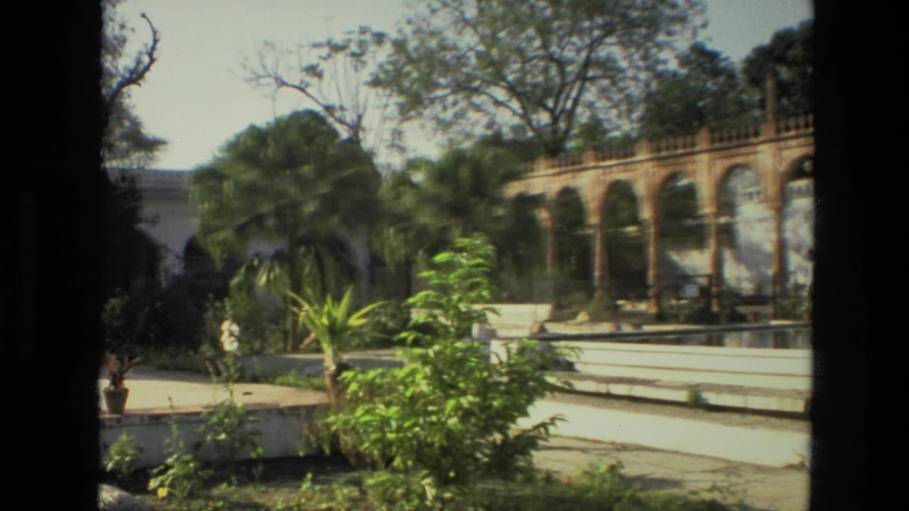 Sunny garden with palms, shrubs, paving, and a white arched building beyond a dark window frame.