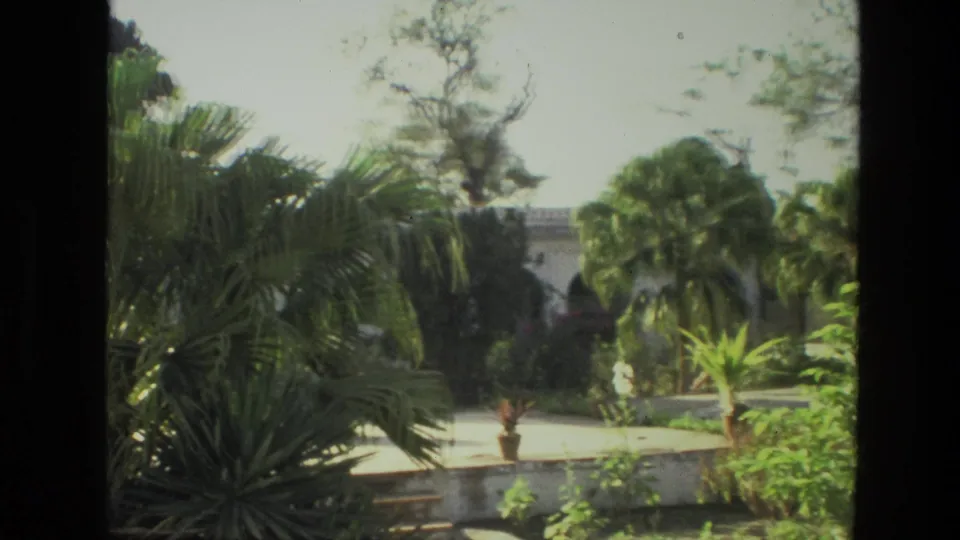 1974 India 8mm frame with foreground palm fronds, planted greenery, bright paving, and distant white arches.